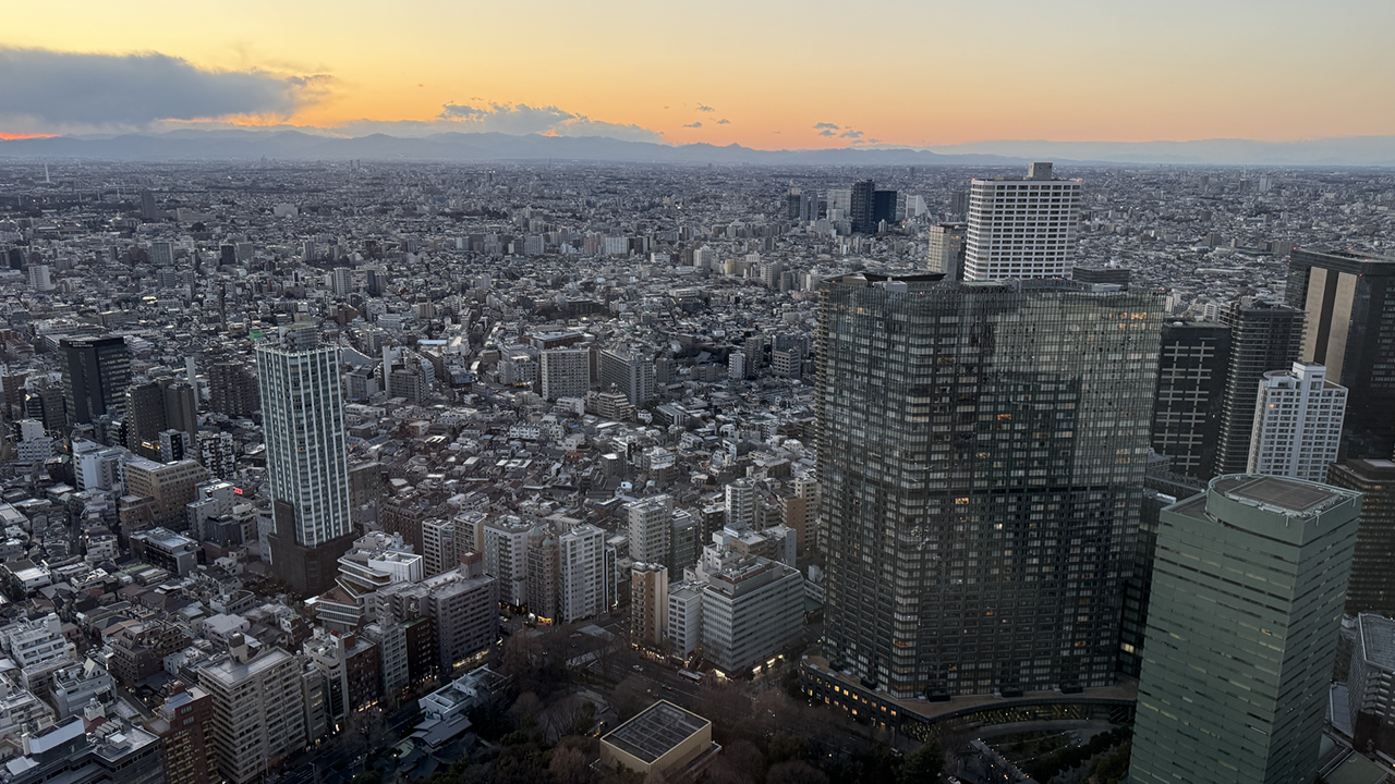 新宿の主な特徴